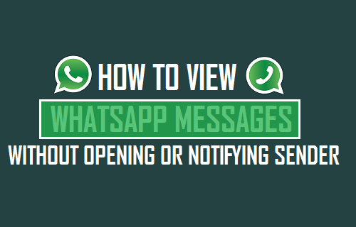 Cómo leer los mensajes de WhatsApp sin abrir o notificar al remitente