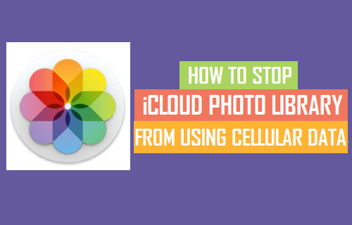 Cómo evitar que la fototeca iCloud utilice datos de móviles