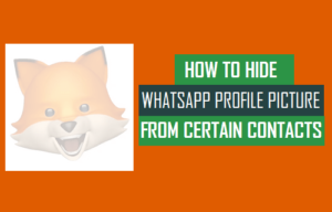 Lee más sobre el artículo Cómo ocultar la imagen del perfil de WhatsApp de determinados contactos