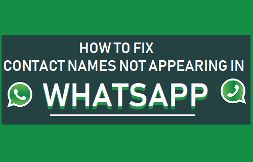 Cómo corregir los nombres de contactos que no aparecen en WhatsApp
