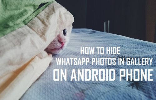 Cómo ocultar las fotos de WhatsApp en la galería del teléfono Android