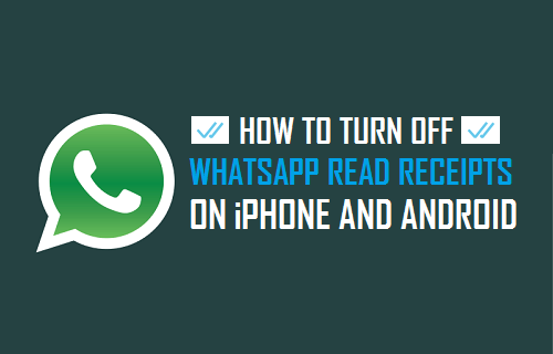 Cómo desactivar los recibos de lectura de WhatsApp en iPhone y Android