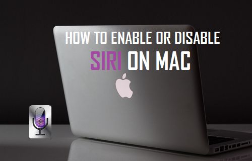 Cómo activar o desactivar Siri en Mac