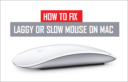 Cómo arreglar el retraso o el ratón lento en Mac