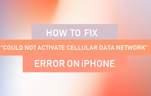 Cómo solucionar el error "No se pudo activar la red de datos celular" en el iPhone