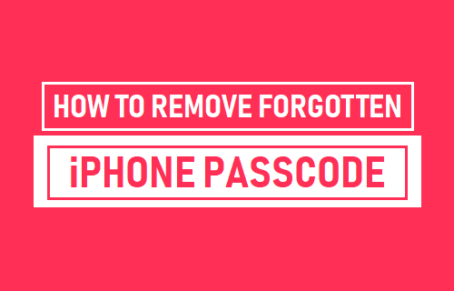 Cómo quitar la contraseña olvidada de iPhone