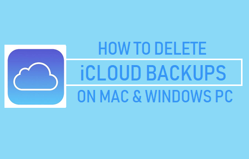Cómo eliminar las copias de seguridad de iCloud en Mac y PC con Windows