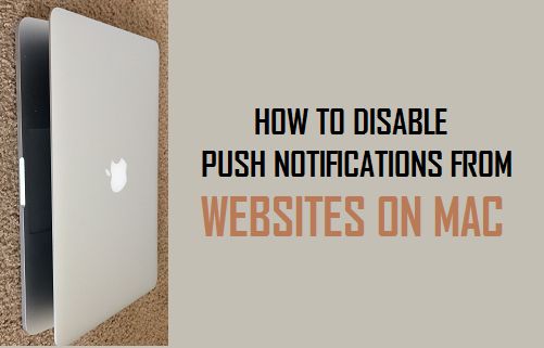 Cómo deshabilitar las notificaciones push de sitios web en Mac