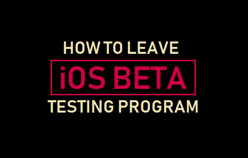 Cómo salir del programa de pruebas beta de iOS