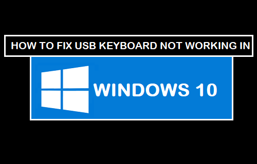 Cómo corregir el teclado USB que no funciona en Windows 10