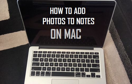 Cómo añadir fotos a las notas en Mac