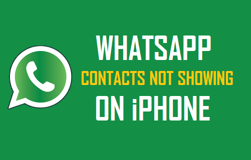 Cómo corregir los contactos de WhatsApp que no se muestran en el iPhone