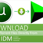¿Cómo descargar torrents en línea con IDM? ¡4 métodos de trabajo para ti!